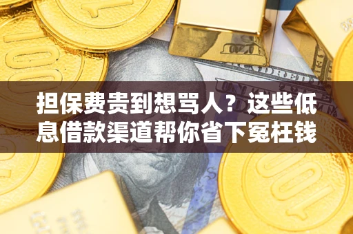 济南担保费贵到想骂人？这些低息借款渠道帮你省下冤枉钱