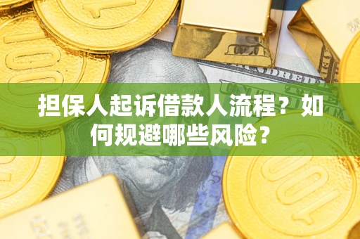 济南担保人起诉借款人流程？如何规避哪些风险？